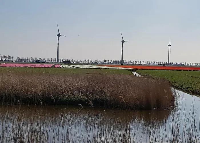 Vliet Медемблик