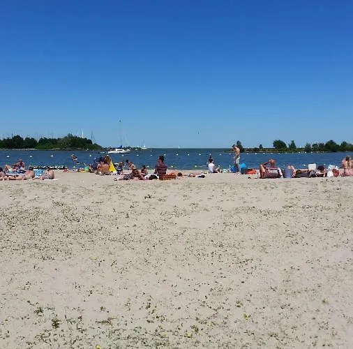 Vliet Медемблик